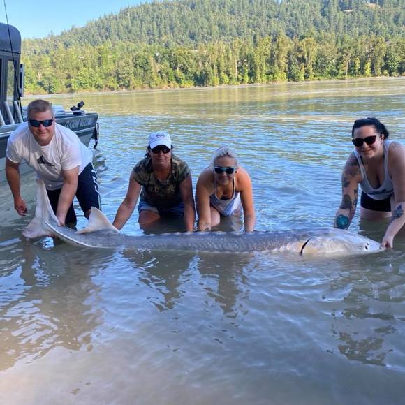 Meet your Posher, Tanya - Picture 1 of 1